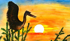 Almagreta portfolio thumbnail 25