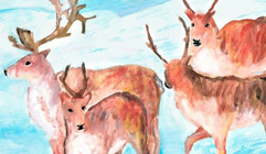 Deers drawing